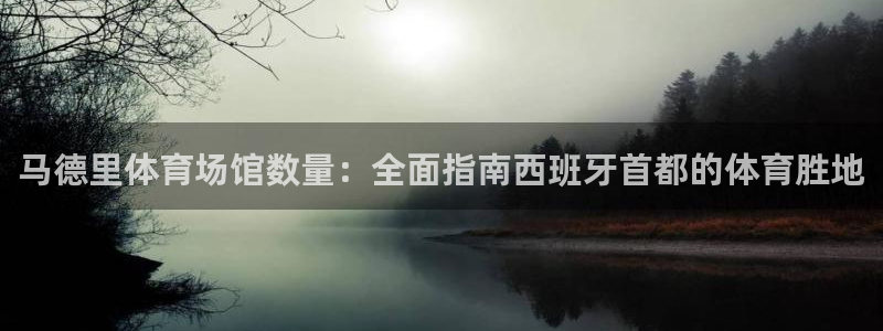 意昂3集团E.ON：马德里体育场馆数量：全面指南西班