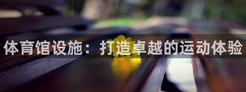 意昂体育3平台是正规平台吗知乎：体育馆设施：打造卓越
