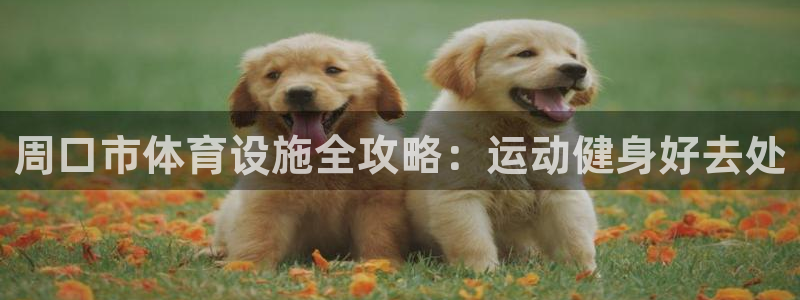 意昂体育3官方客服电话：周口市体育设施全攻略：运动健