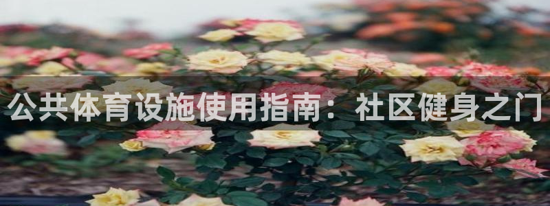 意昂体育3招商电话是多少：公共体育设施使用指南：社区