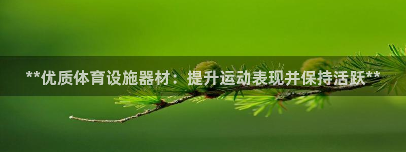 意昂体育3平台是正规平台吗：**优质体育设施器材：提