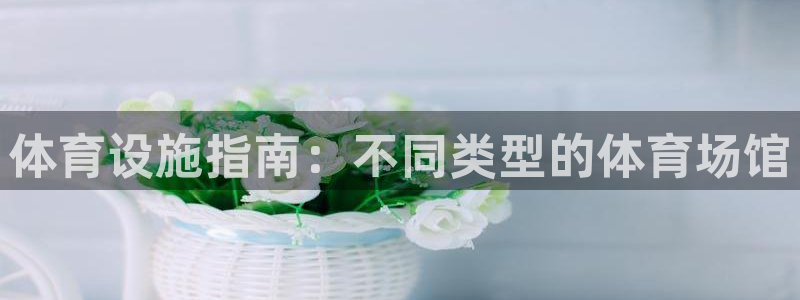 意昂3娱乐40996：体育设施指南：不同类型的体育场