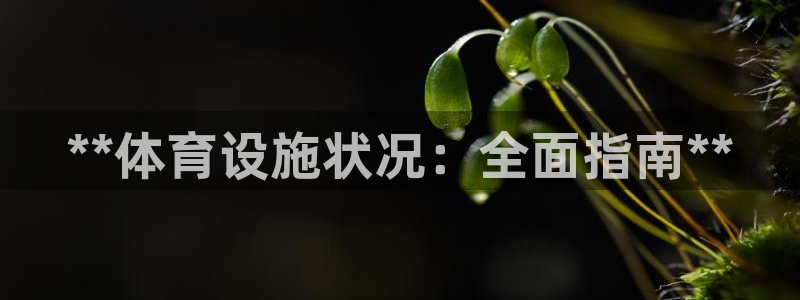 意昂体育3平台注册要钱吗安全吗：**体育设施状况：全