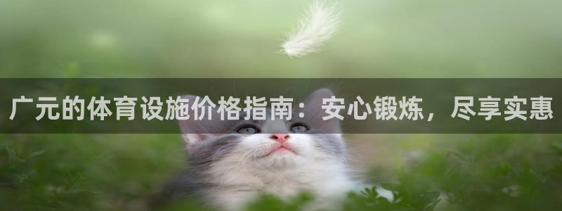 意昂3神州：广元的体育设施价格指南：安心锻炼，尽享实