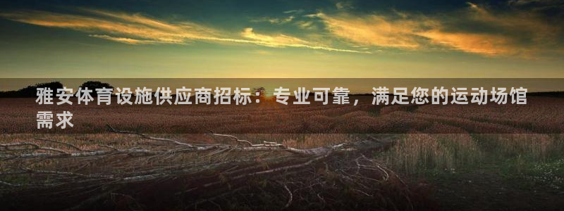 意昂体育3：雅安体育设施供应商招标：专业可靠，满足您