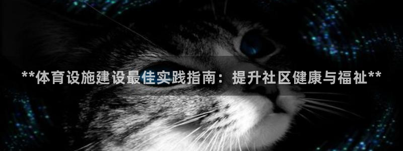 意昂3集团E.ON：**体育设施建设最佳实践指南：提