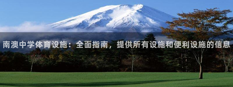 意昂3集团官网网址：南澳中学体育设施：全面指南，提供