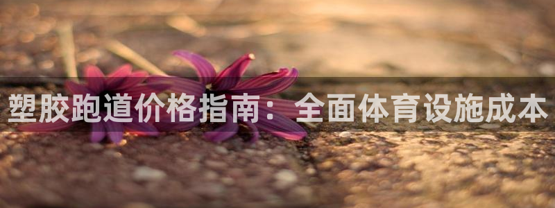 德国意昂3集团：塑胶跑道价格指南：全面体育设施成本