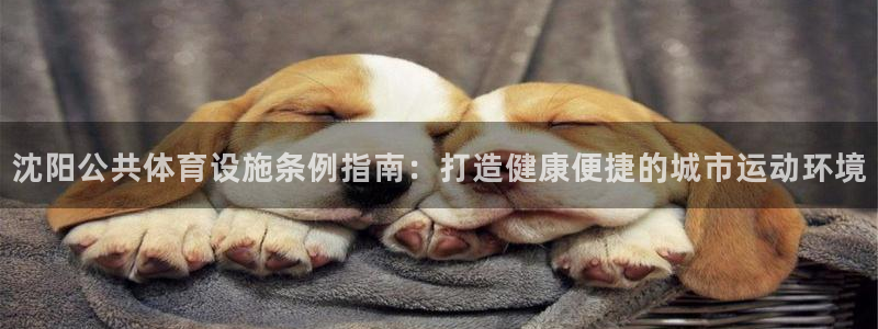 意昂体育3招商电话是多少啊：沈阳公共体育设施条例指南