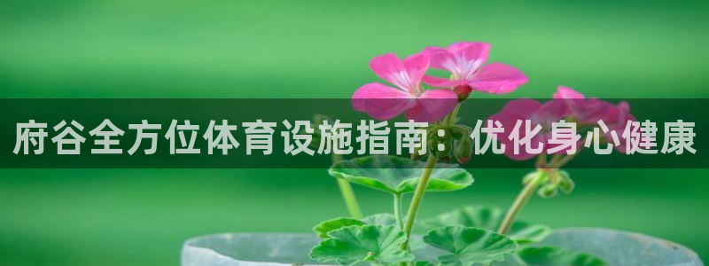 意昂体育3招商：府谷全方位体育设施指南：优化身心健康