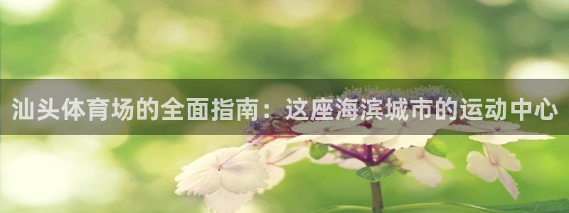 意昂3娱乐首页网站大全：汕头体育场的全面指南：这座海