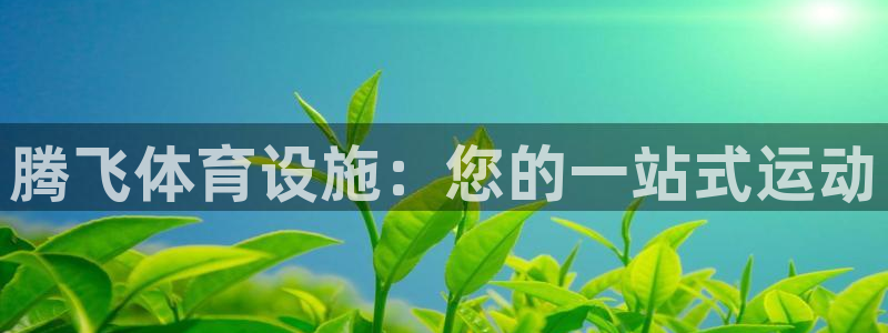 意昂体育3平台：腾飞体育设施：您的一站式运动