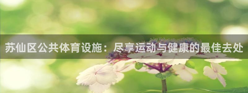 意昂3娱乐网站：苏仙区公共体育设施：尽享运动与健康的