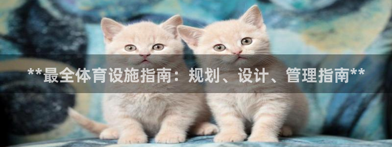 意昂3五金厂：**最全体育设施指南：规划、设计、管理