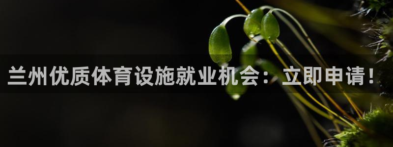 意昂体育3招商电话是多少号码：兰州优质体育设施就业机