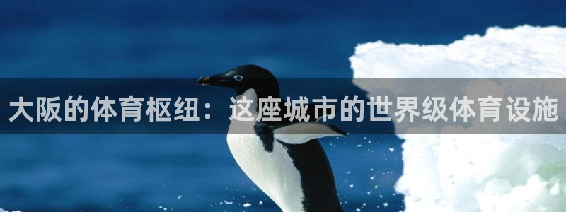 意昂体育3平台注册流程视频：大阪的体育枢纽：这座城市