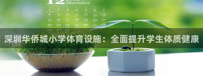 意昂3娱乐网站：深圳华侨城小学体育设施：全面提升学生