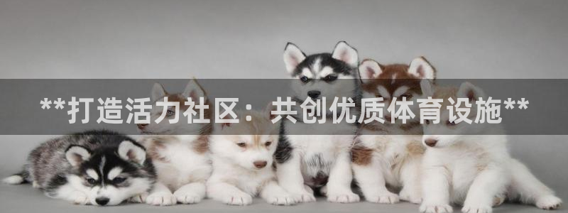 意昂体育3：**打造活力社区：共创优质体育设施**