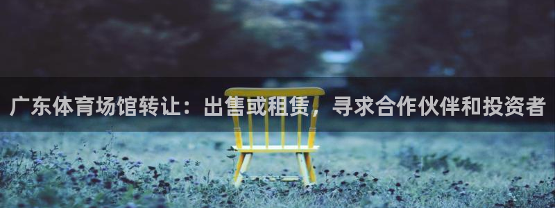 意昂体育3平台注册流程视频：广东体育场馆转让：出售或租赁，寻