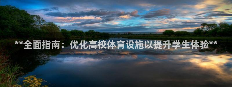 意昂体育3平台是正规平台吗：**全面指南：优化高校体