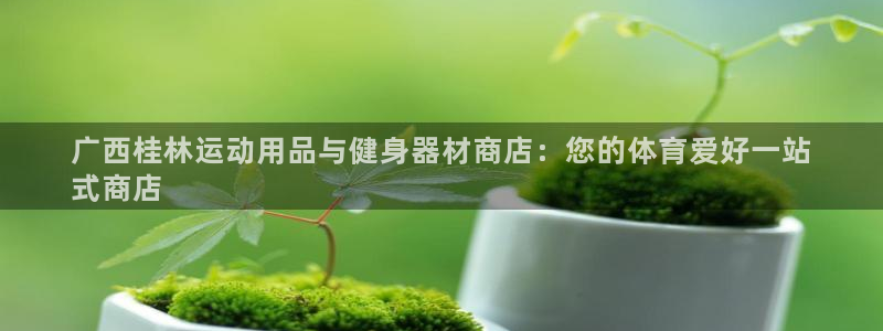 海南意昂体育3：广西桂林运动用品与健身器材商店：您的