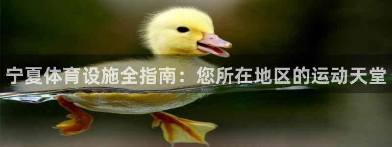 意昂体育3招商电话是多少号码：宁夏体育设施全指南：您