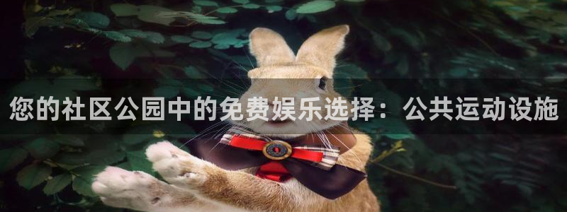 意昂体育3是干嘛的公司：您的社区公园中的免费娱乐选择