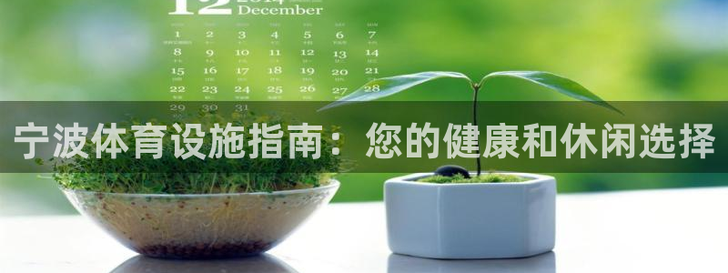 意昂体育3平台APP：宁波体育设施指南：您的健康和休
