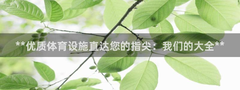 意昂体育3招商电话：**优质体育设施直达您的指尖：我