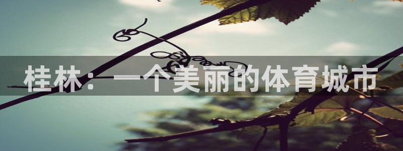 意昂体育3招商电话