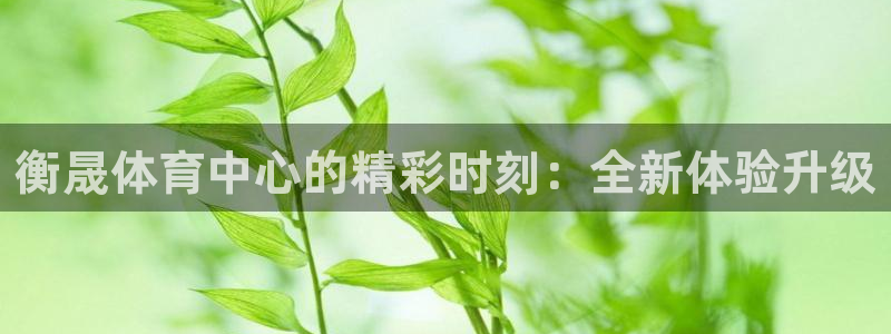 意昂体育3招商电话地址