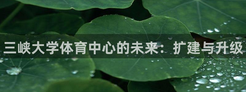 意昂3娱乐下载
