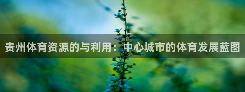 意昂体育3软件