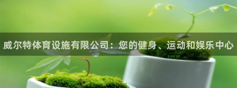 意昂集团官网：威尔特体育设施有限公司：您的健身、运动和娱乐中