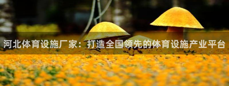 意昂体育3官方客服电话
