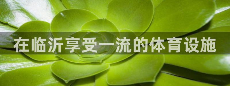 意昂3集团官网首页网址：在临沂享受一流的体育设施 