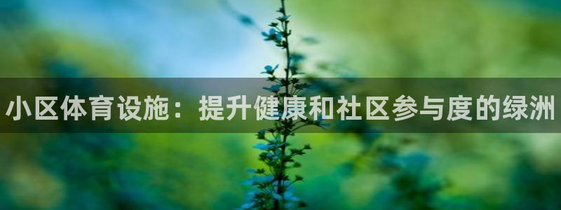 意昂3官方：小区体育设施：提升健康和社区参与度的绿洲
