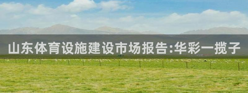 意昂体育3是干嘛的公司：山东体育设施建设市场报告:华彩一揽子