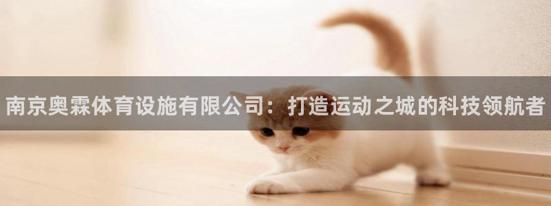 意昂3集团：南京奥霖体育设施有限公司：打造运动之城的科技领航 