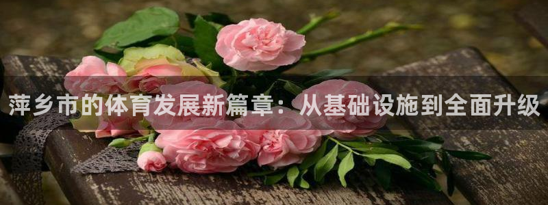 意昂体育3招商电话：萍乡市的体育发展新篇章：从基础设施到全面 