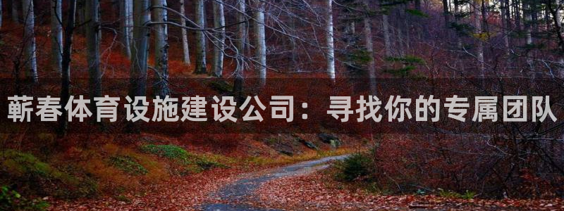 意昂3娱乐40996：蕲春体育设施建设公司：寻找你的