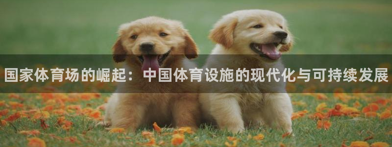 意昂3集团：国家体育场的崛起：中国体育设施的现代化与可持续发
