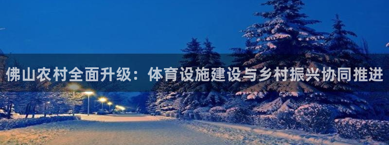 意昂3娱乐网站：佛山农村全面升级：体育设施建设与乡村振兴协同
