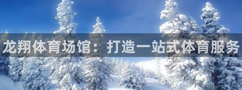 意昂体育3招商电话号码查询：龙翔体育场馆：打造一站式体育服务 
