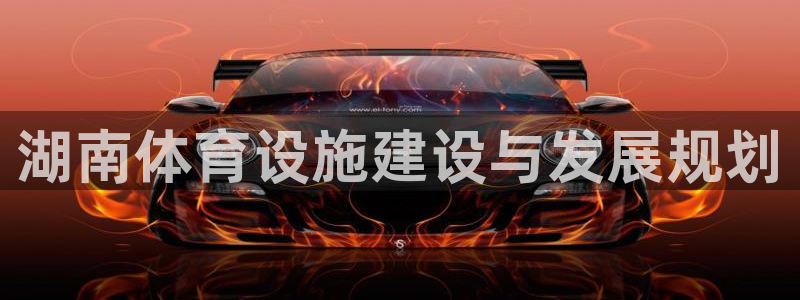 意昂体育3软件：湖南体育设施建设与发展规划