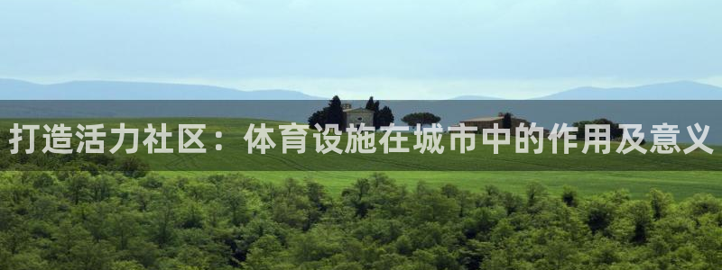 意昂3集团logo：打造活力社区：体育设施在城市中的
