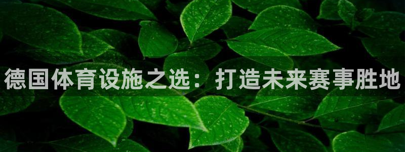 意昂体育3招商电话是多少号码：德国体育设施之选：打造未来赛事