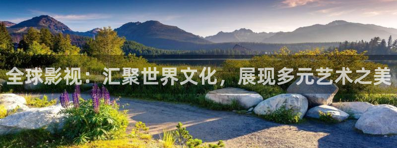 驰策