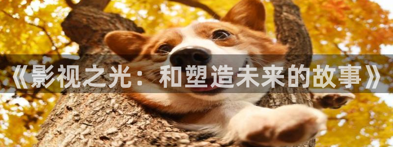 驰策驰影院红桃国际