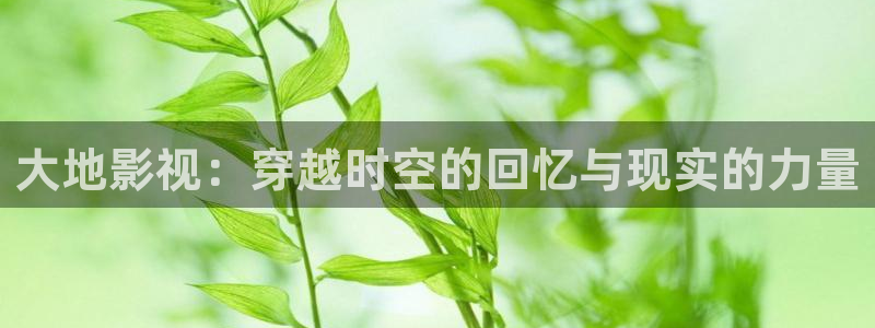 驰策电影院